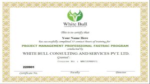 PMP® – Project Management Professional Fast Trac Training Certification